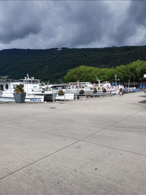 Turnveteranenausflug zu den Störchen in Altreu (Selzach/SO)