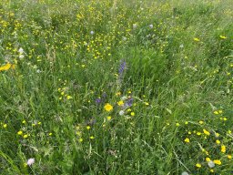 Wanderung_mai_2025